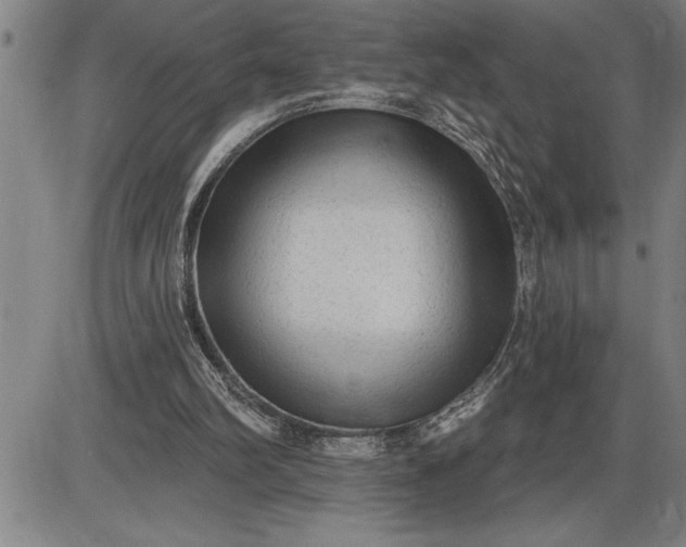 X0000085820102200703301604