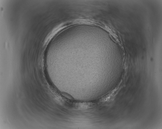 X0000085820103200703301604