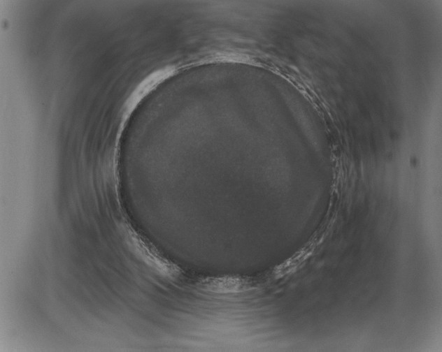 X0000085820104200703301604