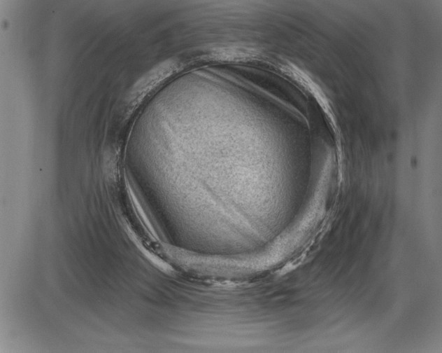 X0000085820105200703301604