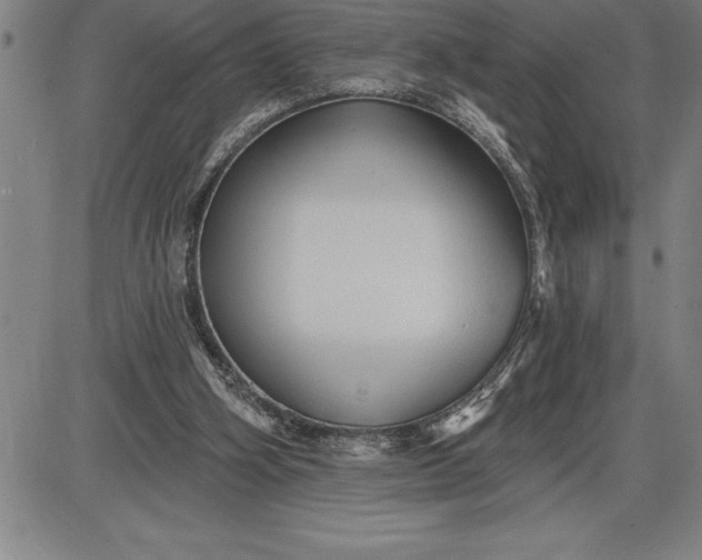 X0000085820106200703301604