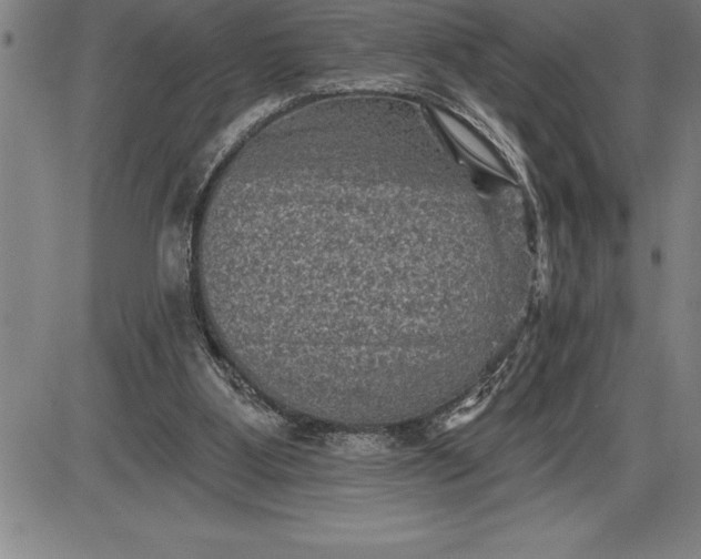 X0000085820107200703301604