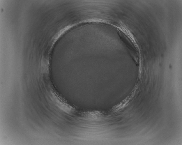 X0000085820108200703301604