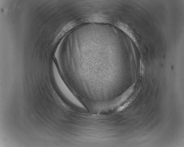 X0000085820109200703301604