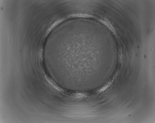 X0000085820111200703301604