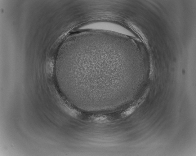 X0000085820113200703301604