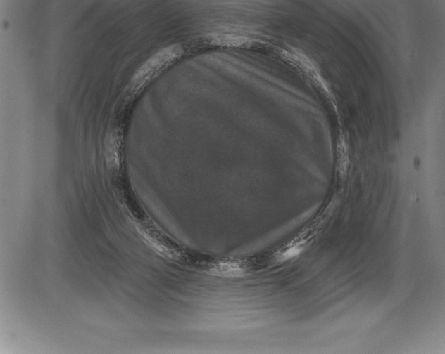 X0000085820114200703301603