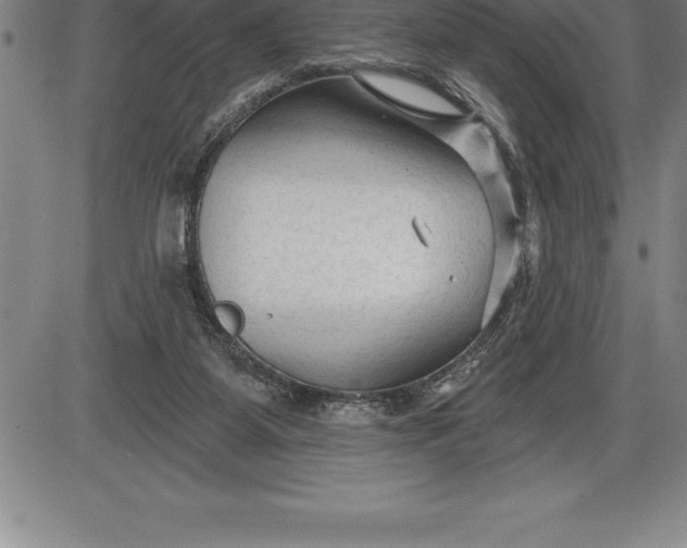 X0000085820115200703301603