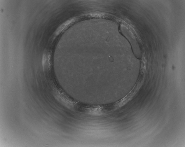 X0000085820116200703301603