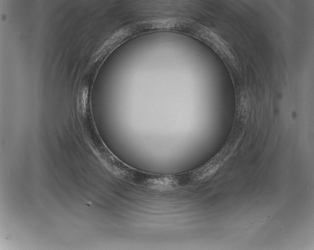 X0000085820118200703301603