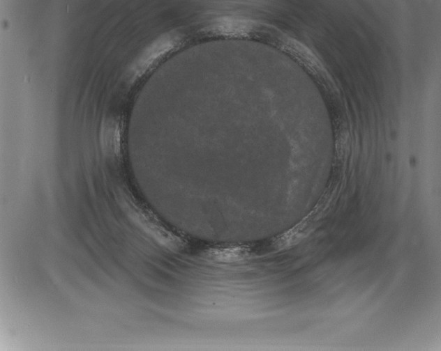 X0000085820120200703301603