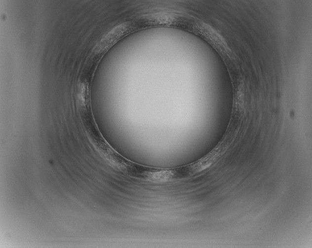 X0000085820122200703301603