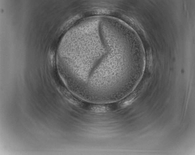 X0000085820123200703301603