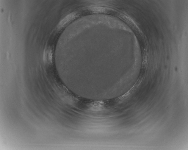 X0000085820124200703301603