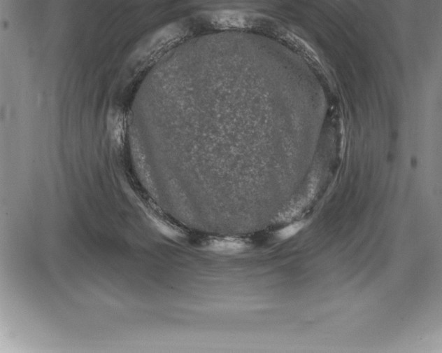 X0000085820125200703301603