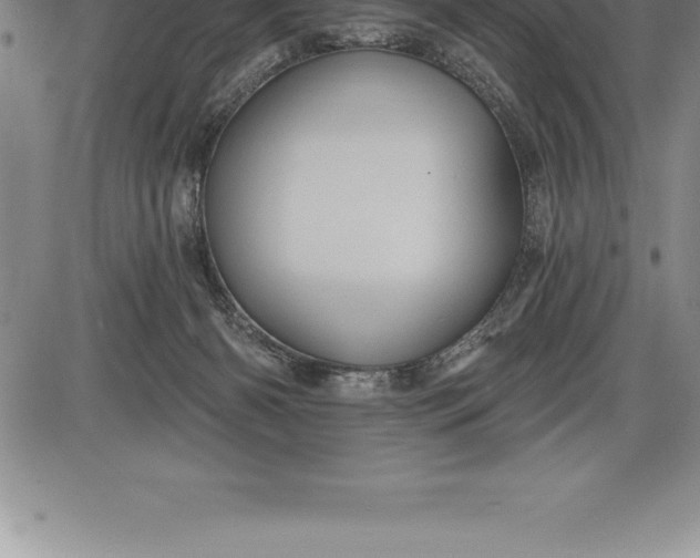 X0000085820126200703301603