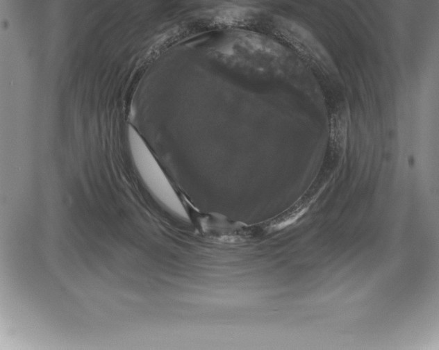 X0000085820127200703301603