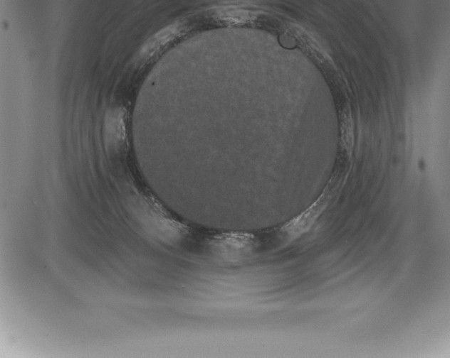 X0000085820128200703301603