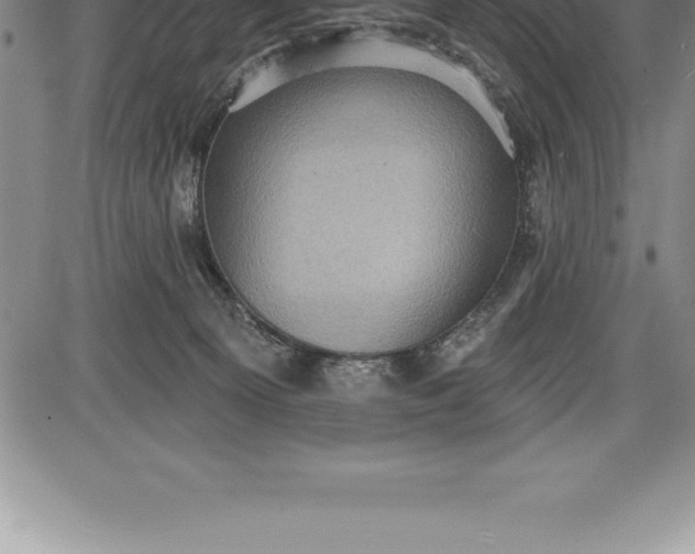 X0000085820129200703301603