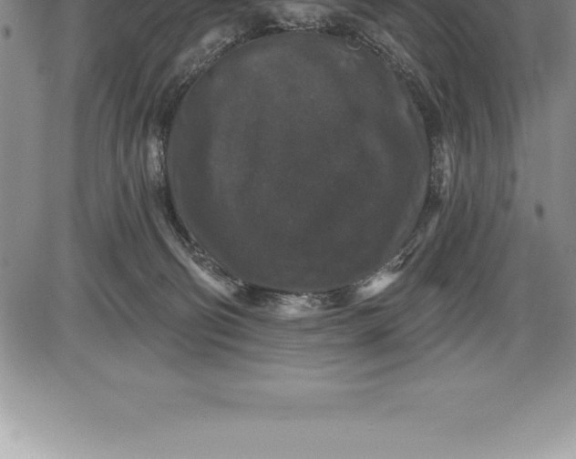 X0000085820130200703301603