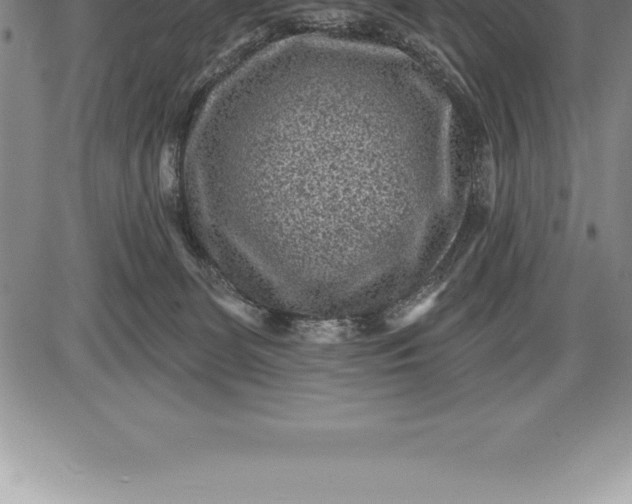 X0000085820131200703301603