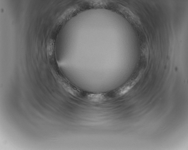 X0000085820133200703301603