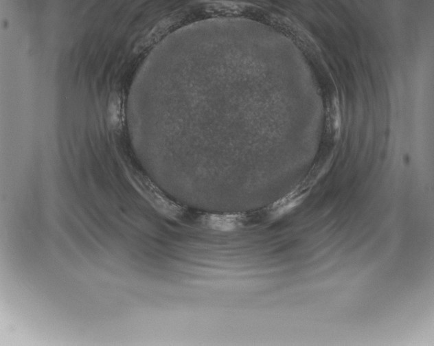 X0000085820134200703301603