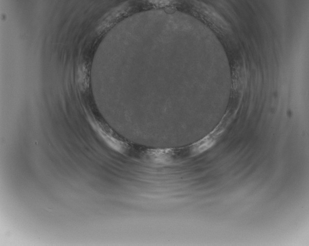 X0000085820136200703301603