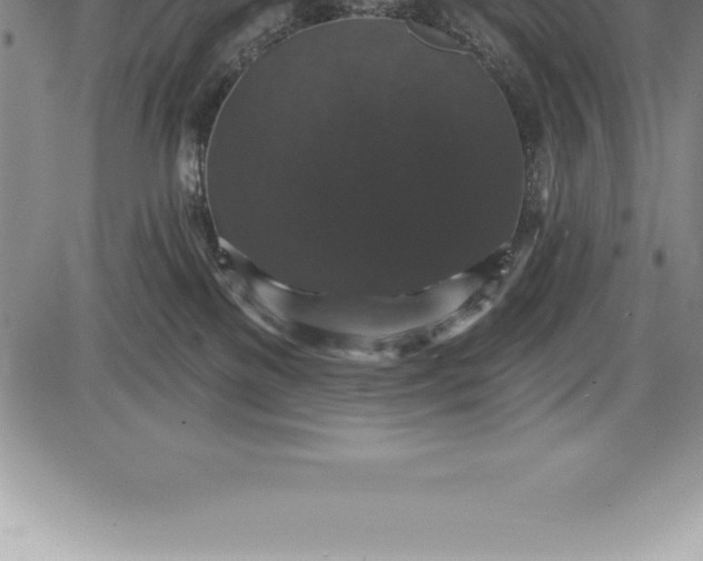 X0000085820137200703301603