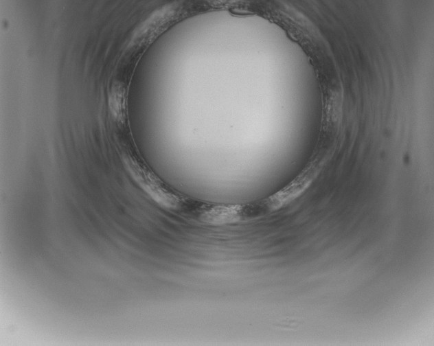 X0000085820138200703301603