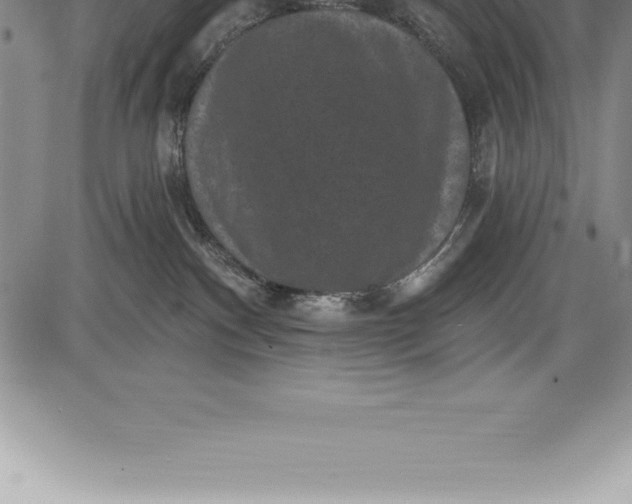 X0000085820140200703301603