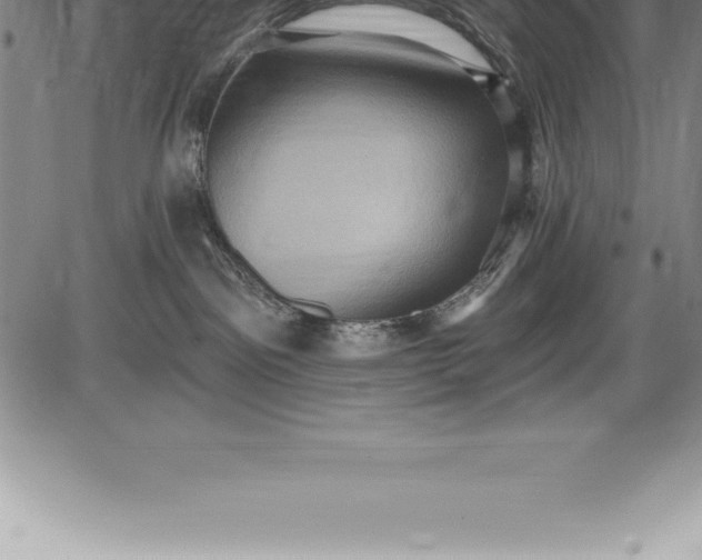 X0000085820141200703301603