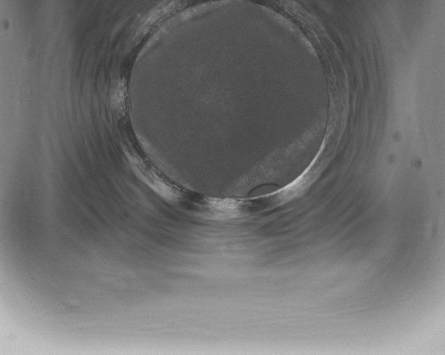 X0000085820144200703301603