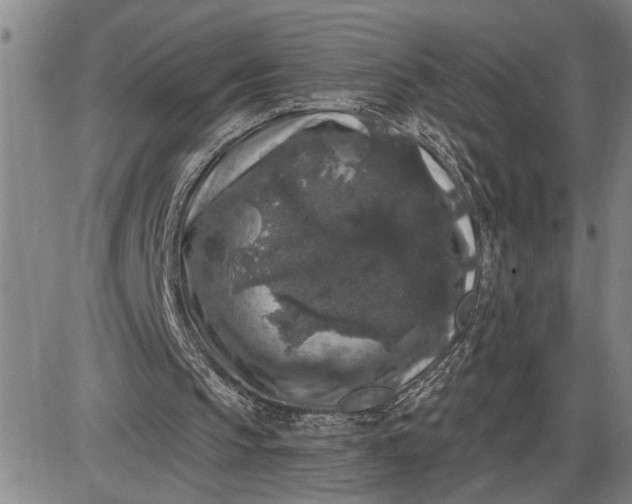 X0000085820145200703301602