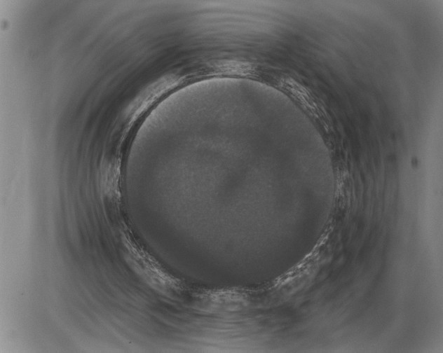 X0000085820146200703301602