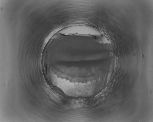 X0000085820147200703301602