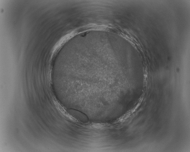 X0000085820149200703301602