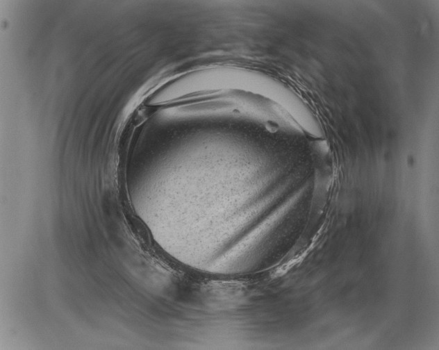 X0000085820150200703301602