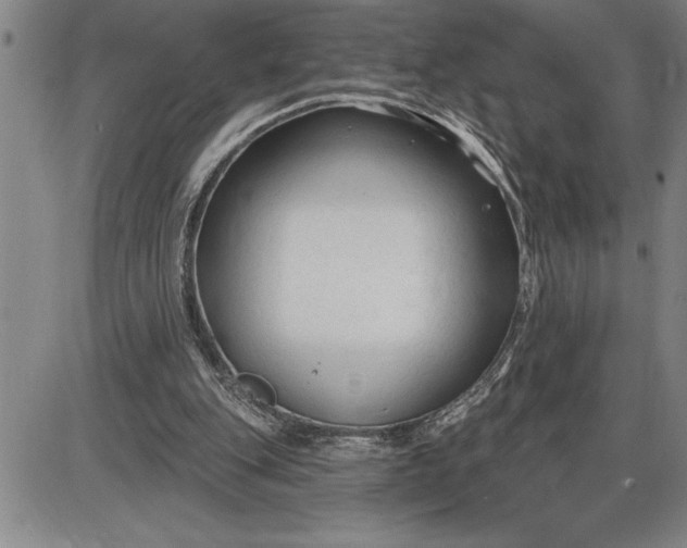 X0000085820151200703301602