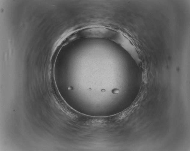 X0000085820152200703301602