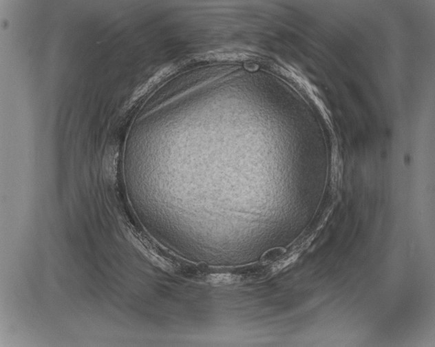 X0000085820153200703301602