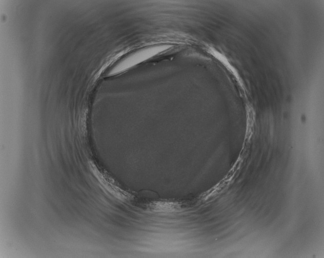 X0000085820154200703301602