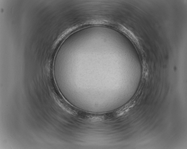 X0000085820155200703301602