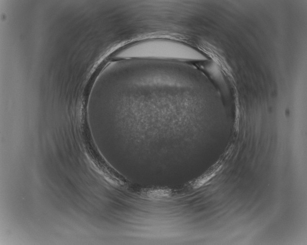 X0000085820156200703301602