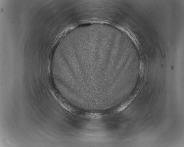 X0000085820157200703301602