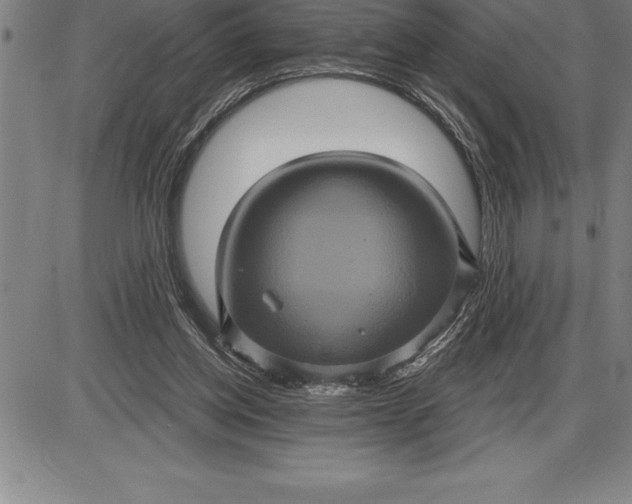 X0000085820158200703301602