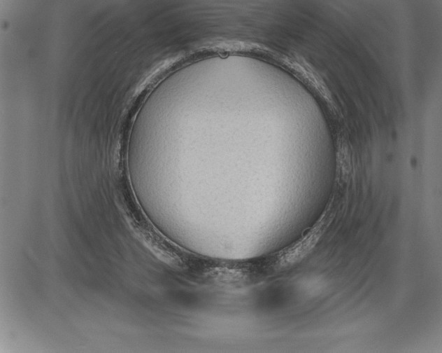 X0000085820159200703301602