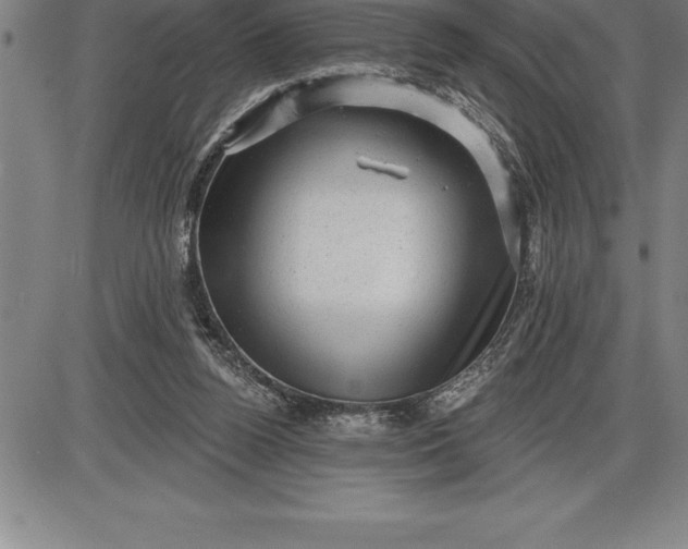 X0000085820160200703301602