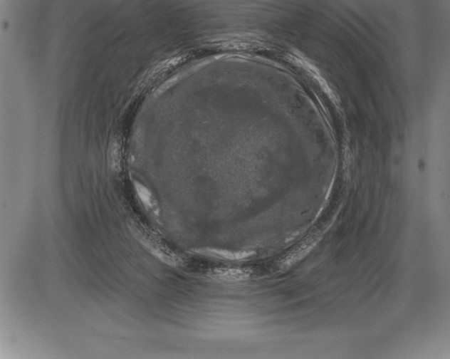 X0000085820161200703301602