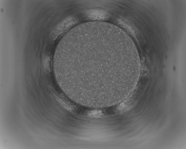 X0000085820162200703301602